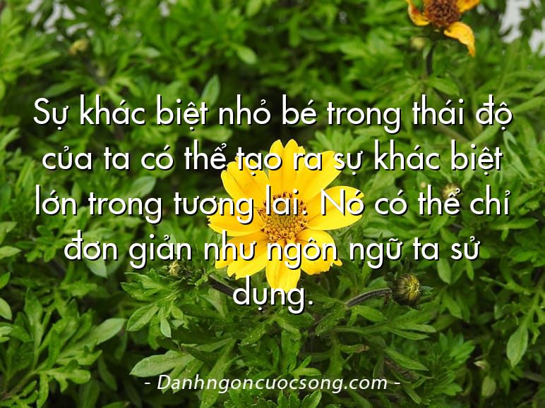 Sự khác biệt nhỏ bé trong thái độ của ta có thể tạo ra sự khác biệt lớn trong tương lai. Nó có thể chỉ đơn giản như ngôn ngữ ta sử dụng.