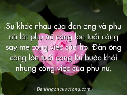 Sự khác nhau của đàn ông và phụ nữ là: phụ nữ càng lớn tuổi càng say mê công việc của họ. Đàn ông càng lớn tuổi càng lùi bước khỏi những công việc của phụ nữ.