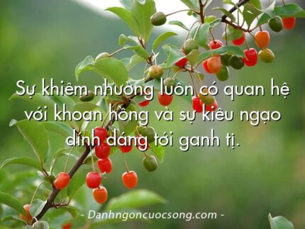 Sự khiêm nhường luôn có quan hệ với khoan hồng và sự kiêu ngạo dính dáng tới ganh tị.
