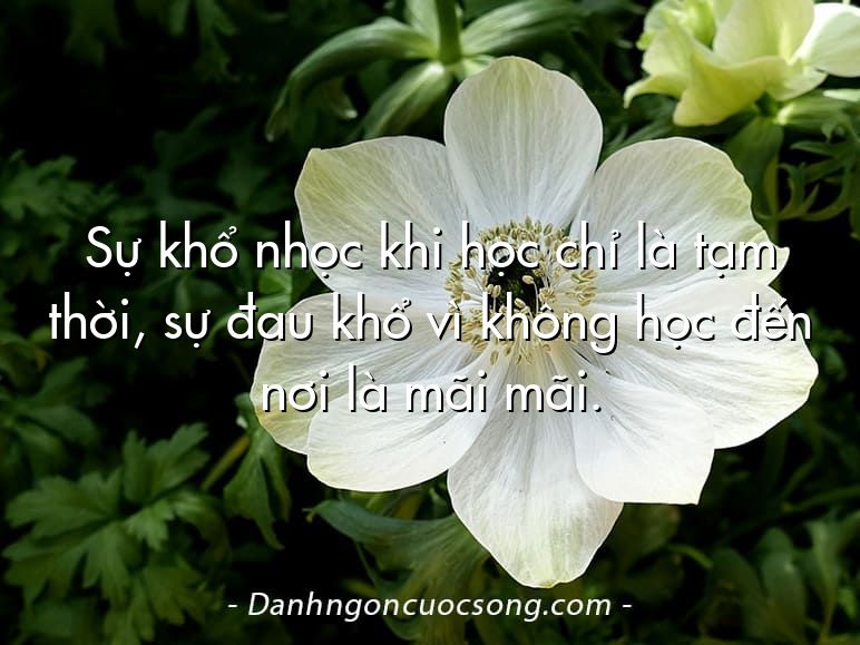 Sự khổ nhọc khi học chỉ là tạm thời, sự đau khổ vì không học đến nơi là mãi mãi.