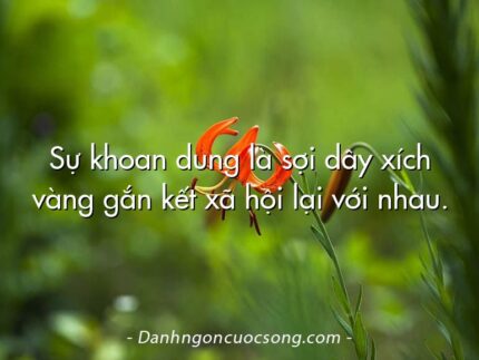 Sự khoan dung là sợi dây xích vàng gắn kết xã hội lại với nhau.