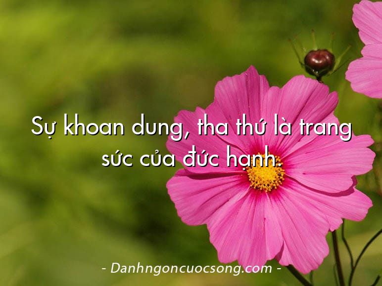 Sự khoan dung, tha thứ là trang sức của đức hạnh.