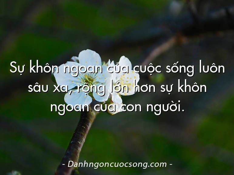 Sự khôn ngoan của cuộc sống luôn sâu xa, rộng lớn hơn sự khôn ngoan của con người.