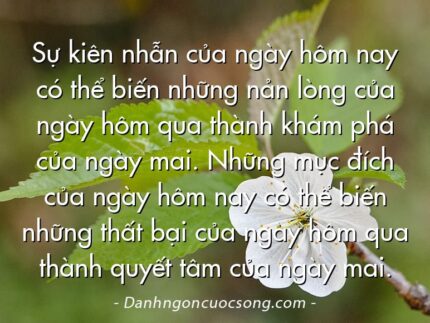 Sự kiên nhẫn của ngày hôm nay có thể biến những nản lòng của ngày hôm qua thành khám phá của ngày mai. Những mục đích của ngày hôm nay có thể biến những thất bại của ngày hôm qua thành quyết tâm của ngày mai.