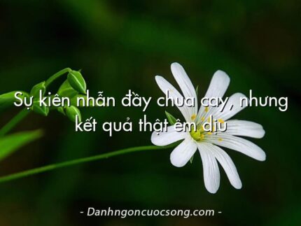 Sự kiên nhẫn đầy chua cay, nhưng kết quả thật êm dịu