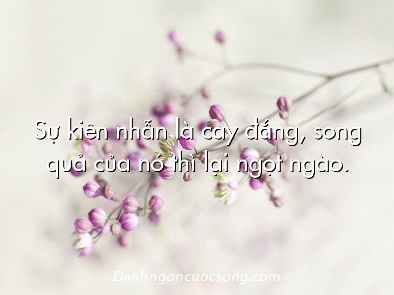 Sự kiên nhẫn là cay đắng, song quả của nó thì lại ngọt ngào.