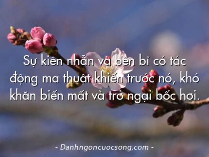 Sự kiên nhẫn và bền bỉ có tác động ma thuật khiến trước nó, khó khăn biến mất và trở ngại bốc hơi.