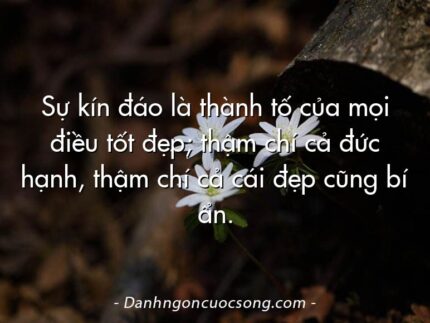 Sự kín đáo là thành tố của mọi điều tốt đẹp; thậm chí cả đức hạnh, thậm chí cả cái đẹp cũng bí ẩn.