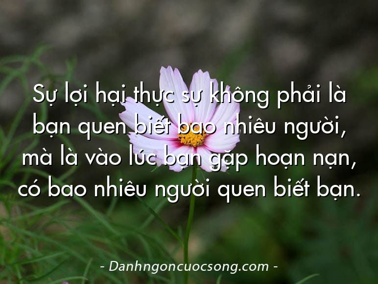 Sự lợi hại thực sự không phải là bạn quen biết bao nhiêu người, mà là vào lúc bạn gặp hoạn nạn, có bao nhiêu người quen biết bạn.