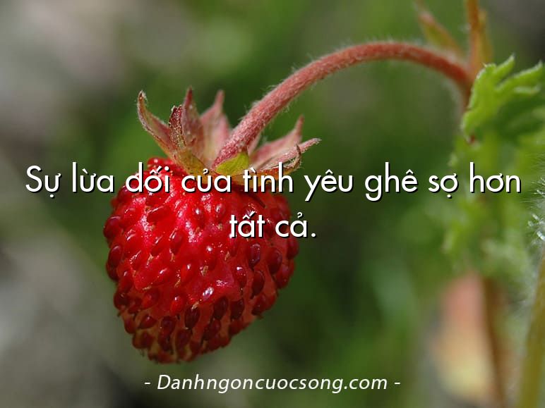 Sự lừa dối của tình yêu ghê sợ hơn tất cả.