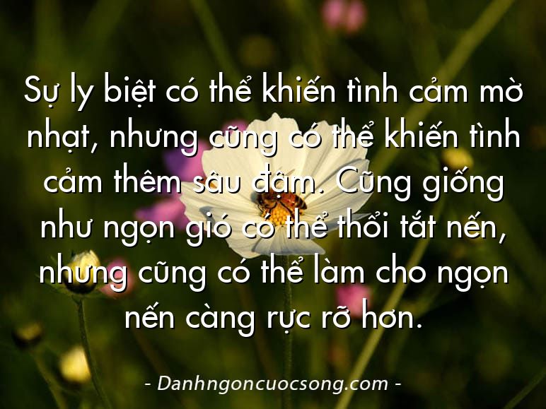 Sự ly biệt có thể khiến tình cảm mờ nhạt, nhưng cũng có thể khiến tình cảm thêm sâu đậm. Cũng giống như ngọn gió có thể thổi tắt nến, nhưng cũng có thể làm cho ngọn nến càng rực rỡ hơn.
