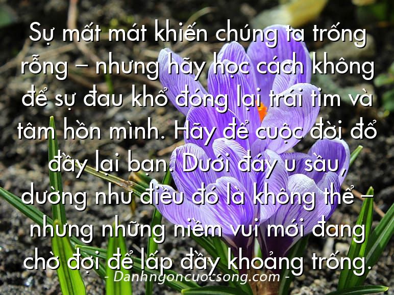 Sự mất mát khiến chúng ta trống rỗng – nhưng hãy học cách không để sự đau khổ đóng lại trái tim và tâm hồn mình. Hãy để cuộc đời đổ đầy lại bạn. Dưới đáy u sầu, dường như điều đó là không thể – nhưng những niềm vui mới đang chờ đợi để lấp đầy khoảng trống.