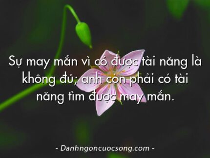 Sự may mắn vì có được tài năng là không đủ; anh còn phải có tài năng tìm được may mắn.