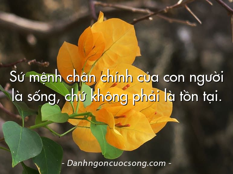 Sứ mệnh chân chính của con người là sống, chứ không phải là tồn tại.