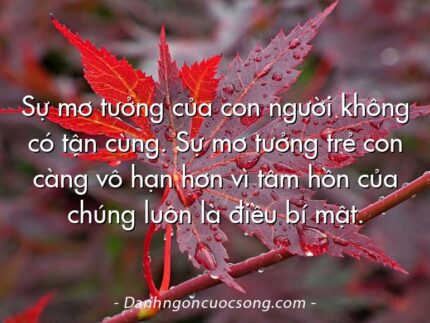 Sự mơ tưởng của con người không có tận cùng. Sự mơ tưởng trẻ con càng vô hạn hơn vì tâm hồn của chúng luôn là điều bí mật.