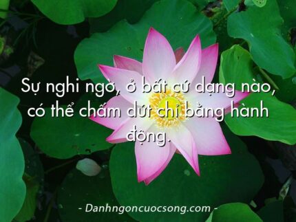 Sự nghi ngờ, ở bất cứ dạng nào, có thể chấm dứt chỉ bằng hành động.