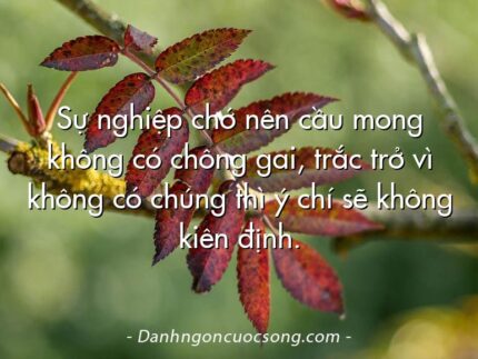 Sự nghiệp chớ nên cầu mong không có chông gai, trắc trở vì không có chúng thì ý chí sẽ không kiên định.