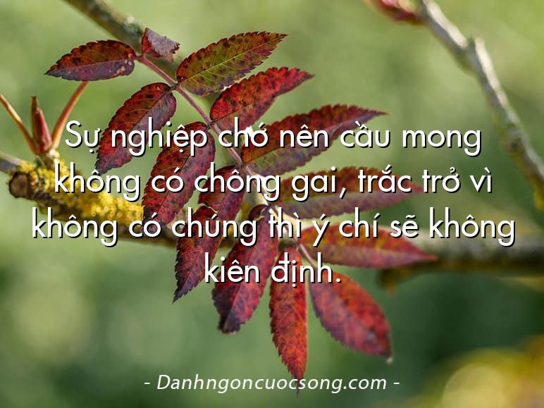 Sự nghiệp chớ nên cầu mong không có chông gai, trắc trở vì không có chúng thì ý chí sẽ không kiên định.