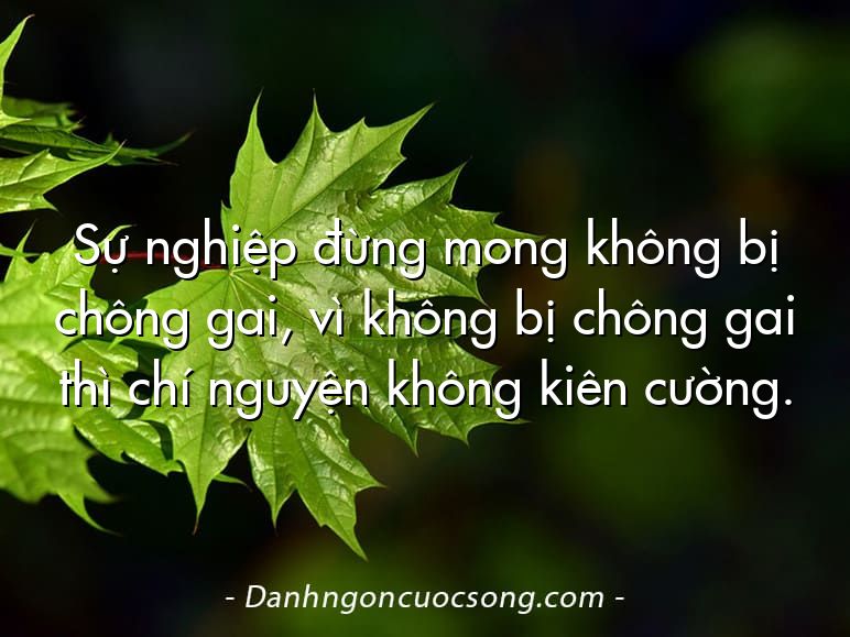 Sự nghiệp đừng mong không bị chông gai, vì không bị chông gai thì chí nguyện không kiên cường.