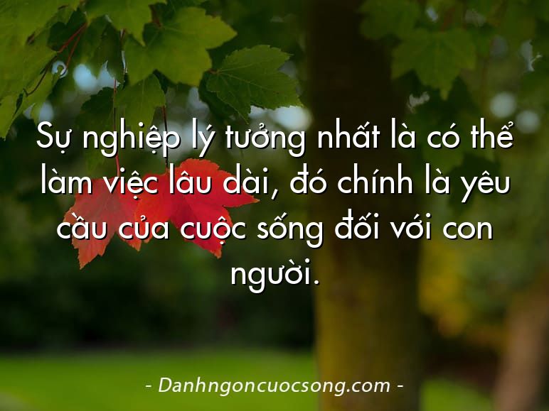 Sự nghiệp lý tưởng nhất là có thể làm việc lâu dài, đó chính là yêu cầu của cuộc sống đối với con người.