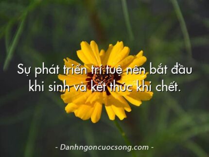 Sự phát triển trí tuệ nên bắt đầu khi sinh và kết thúc khi chết.