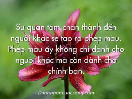 Sự quan tâm chân thành đến người khác sẽ tạo ra phép màu. Phép màu ấy không chỉ dành cho người khác mà còn dành cho chính bạn.