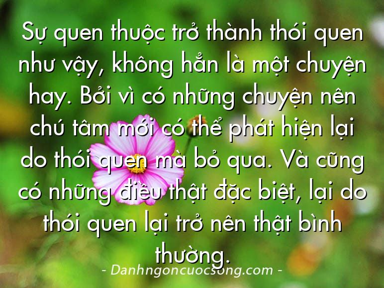 Sự quen thuộc trở thành thói quen như vậy, không hẳn là một chuyện hay. Bởi vì có những chuyện nên chú tâm mới có thể phát hiện lại do thói quen mà bỏ qua. Và cũng có những điều thật đặc biệt, lại do thói quen lại trở nên thật bình thường.