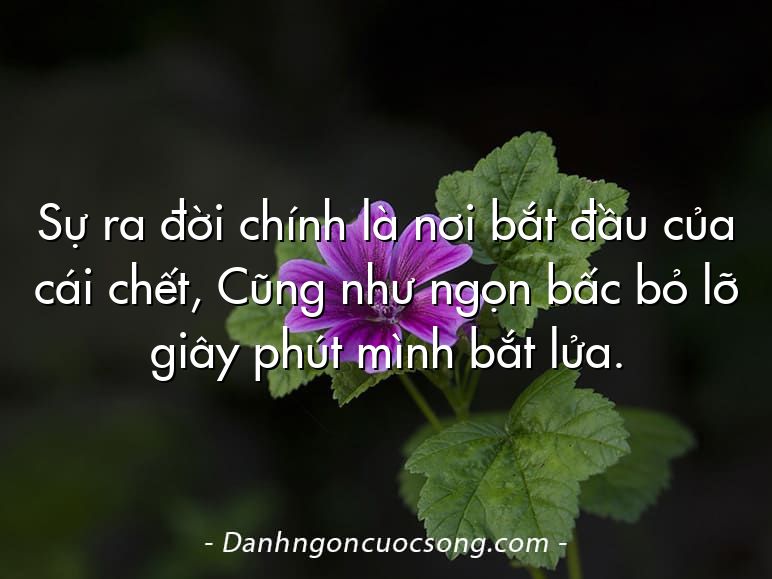 Sự ra đời chính là nơi bắt đầu của cái chết, Cũng như ngọn bấc bỏ lỡ giây phút mình bắt lửa.