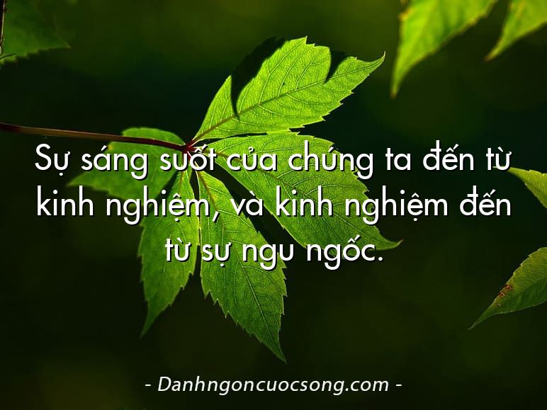 Sự sáng suốt của chúng ta đến từ kinh nghiệm, và kinh nghiệm đến từ sự ngu ngốc.