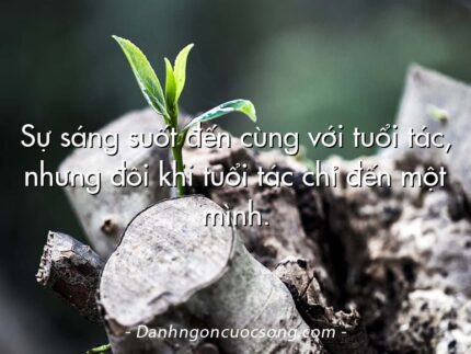 Sự sáng suốt đến cùng với tuổi tác, nhưng đôi khi tuổi tác chỉ đến một mình.