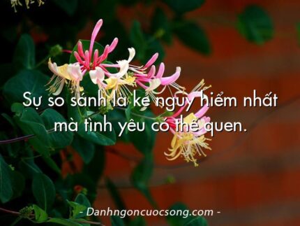Sự so sánh là kẻ nguy hiểm nhất mà tình yêu có thể quen.