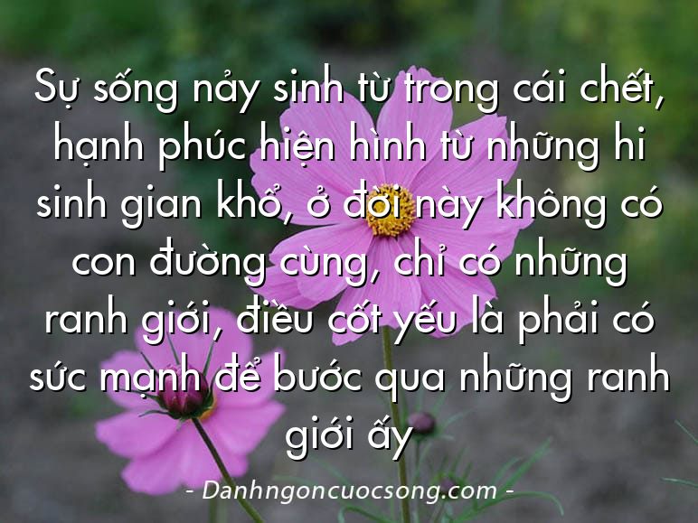 Sự sống nảy sinh từ trong cái chết, hạnh phúc hiện hình từ những hi sinh gian khổ, ở đời này không có con đường cùng, chỉ có những ranh giới, điều cốt yếu là phải có sức mạnh để bước qua những ranh giới ấy