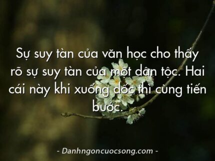 Sự suy tàn của văn học cho thấy rõ sự suy tàn của một dân tộc. Hai cái này khi xuống dốc thì cùng tiến bước.
