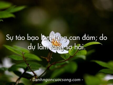 Sự táo bạo làm tăng can đảm; do dự làm tăng sợ hãi.