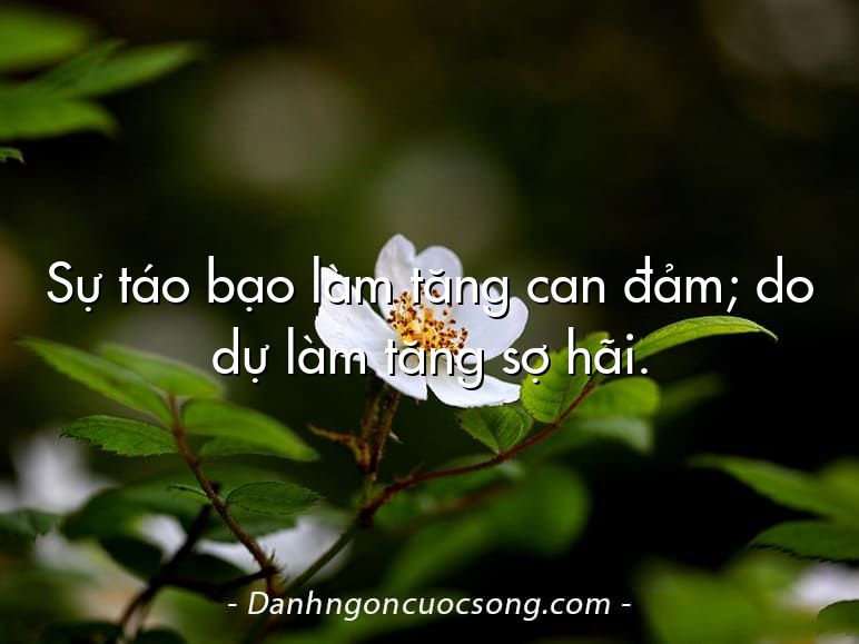 Sự táo bạo làm tăng can đảm; do dự làm tăng sợ hãi.