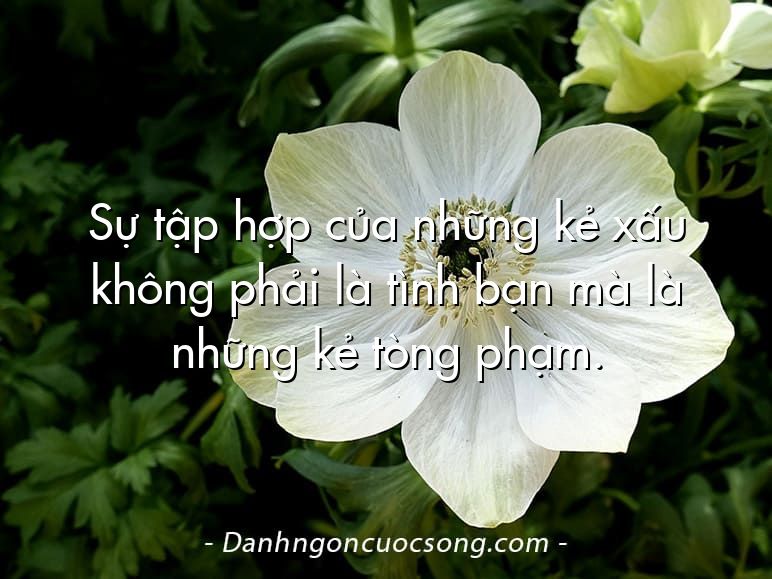 Sự tập hợp của những kẻ xấu không phải là tình bạn mà là những kẻ tòng phạm.