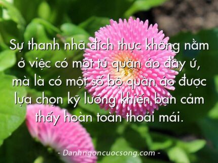 Sự thanh nhã đích thực không nằm ở việc có một tủ quần áo đầy ứ, mà là có một số bộ quần áo được lựa chọn kỹ lưỡng khiến bạn cảm thấy hoàn toàn thoải mái.