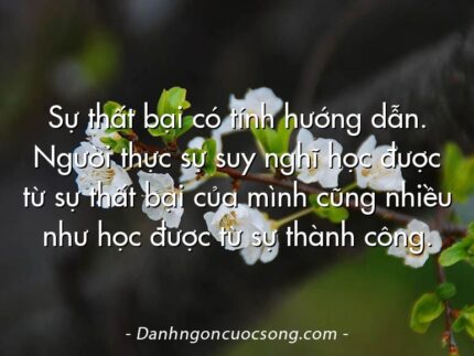 Sự thất bại có tính hướng dẫn. Người thực sự suy nghĩ học được từ sự thất bại của mình cũng nhiều như học được từ sự thành công.