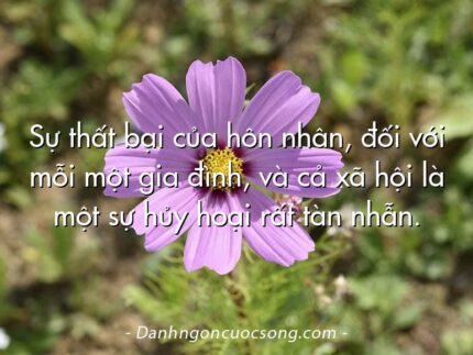 Sự thất bại của hôn nhân, đối với mỗi một gia đình, và cả xã hội là một sự hủy hoại rất tàn nhẫn.
