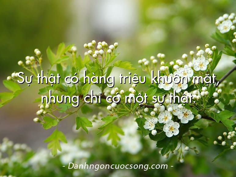 Sự thật có hàng triệu khuôn mặt, nhưng chỉ có một sự thật.