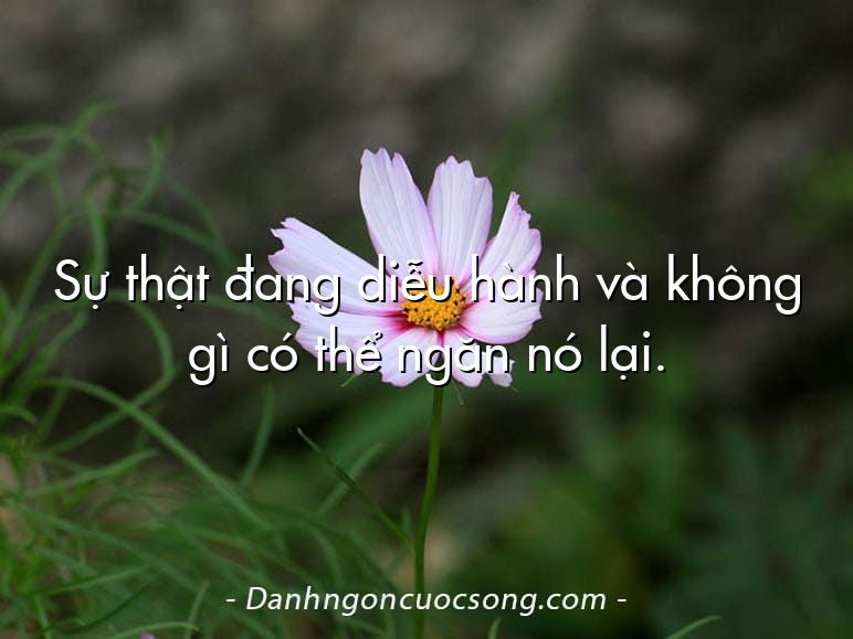 Sự thật đang diễu hành và không gì có thể ngăn nó lại.