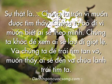 Sự thật là… Chúng ta trốn vì muốn được tìm thấy. Chúng ta bỏ đi vì muốn biết ai sẽ theo mình. Chúng ta khóc để xem ai sẽ lau đi giọt lệ. Và chúng ta để trái tim tan vỡ, muốn thấy ai sẽ đến và chữa lành trái tim ta.