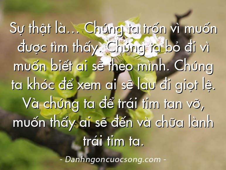 Sự thật là… Chúng ta trốn vì muốn được tìm thấy. Chúng ta bỏ đi vì muốn biết ai sẽ theo mình. Chúng ta khóc để xem ai sẽ lau đi giọt lệ. Và chúng ta để trái tim tan vỡ, muốn thấy ai sẽ đến và chữa lành trái tim ta.