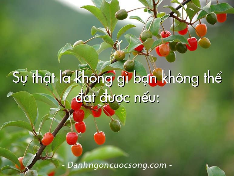 Sự thật là không gì bạn không thể đạt được nếu: