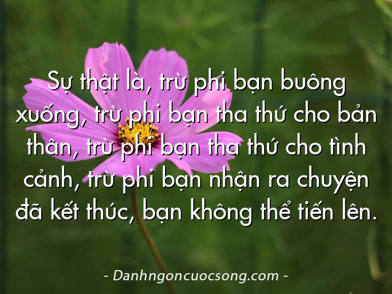 Sự thật là, trừ phi bạn buông xuống, trừ phi bạn tha thứ cho bản thân, trừ phi bạn tha thứ cho tình cảnh, trừ phi bạn nhận ra chuyện đã kết thúc, bạn không thể tiến lên.