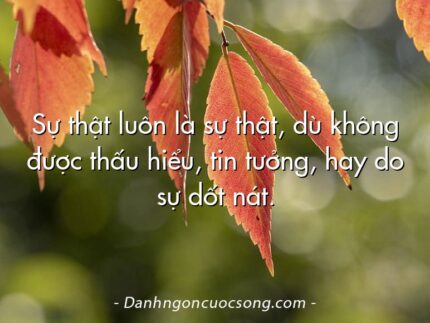 Sự thật luôn là sự thật, dù không được thấu hiểu, tin tưởng, hay do sự dốt nát.