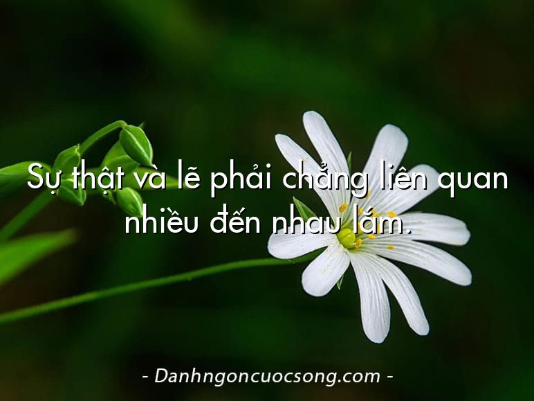 Sự thật và lẽ phải chẳng liên quan nhiều đến nhau lắm.