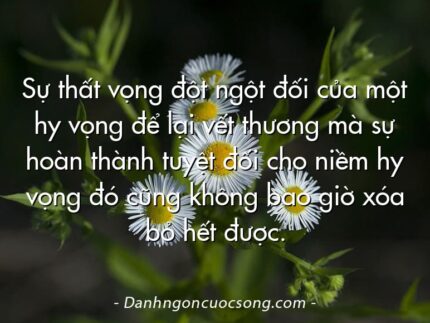 Sự thất vọng đột ngột đối của một hy vọng để lại vết thương mà sự hoàn thành tuyệt đối cho niềm hy vọng đó cũng không bao giờ xóa bỏ hết được.