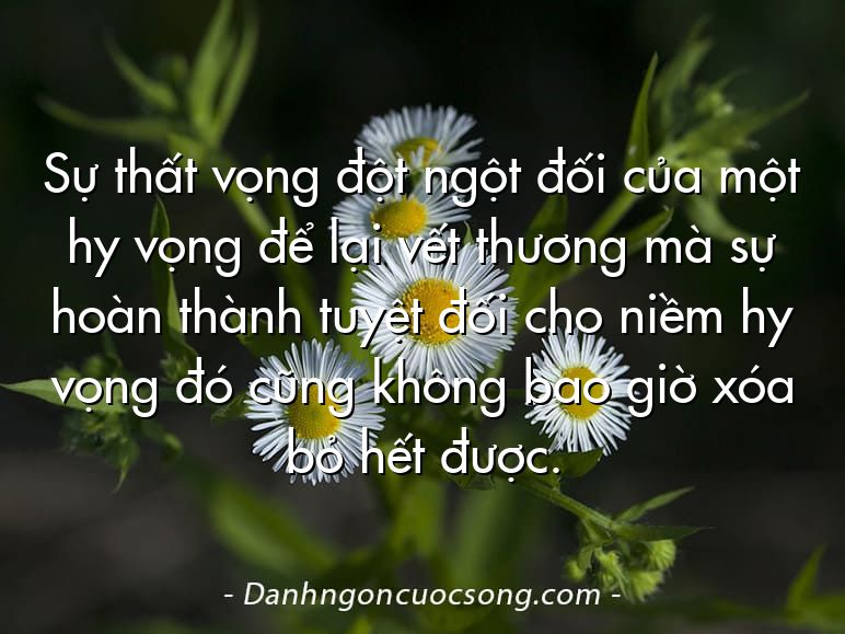 Sự thất vọng đột ngột đối của một hy vọng để lại vết thương mà sự hoàn thành tuyệt đối cho niềm hy vọng đó cũng không bao giờ xóa bỏ hết được.