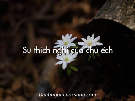 Sự thích nghi của chú ếch